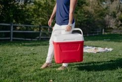 IGLOO Laguna 28QT Cool Box Red -Camping Products Store k7261c800915913834b6a43a5a82e78a3
