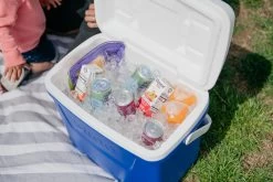 IGLOO Laguna 28QT Cool Box Red -Camping Products Store kb309529a331bee3c9613a50999a7df51